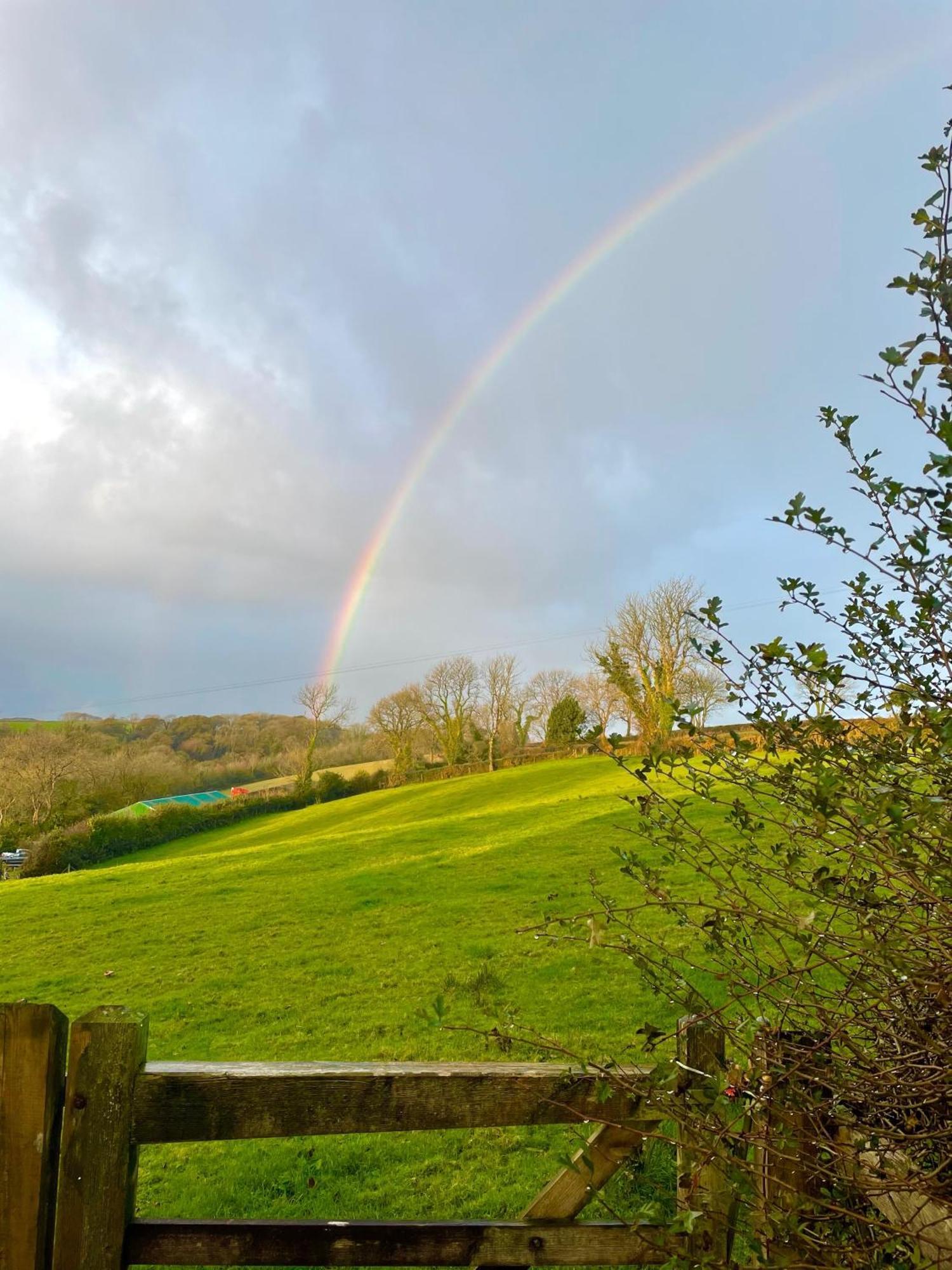 Stable Cottage Narberth Dış mekan fotoğraf